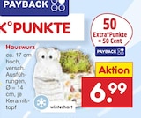 Hauswurz Angebote bei Netto Marken-Discount Frankfurt für 6,99 €