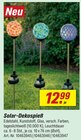 Solar-Dekospieß im Angebot bei toom Baumarkt in Chemnitz Solar-Dekospieß Angebote bei toom Baumarkt Chemnitz für 12,99 €