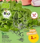 Bio-Rucola bei Penny im Rastatt Prospekt für 1,00 €