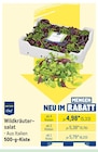 Wildkräutersalat Angebote von Metro Chef bei METRO Bremerhaven für 5,33 €