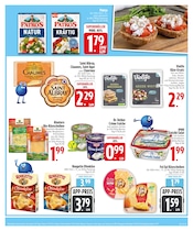 Aktueller EDEKA Prospekt mit Käse, "Noch kein °Punktesammler? Hier direkt anmelden!", Seite 7