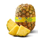 Ananas ohne Krone Angebote bei Penny Bremerhaven für 1,49 €