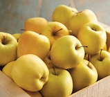 Promo Pomme à 1,59 € dans le catalogue Intermarché Contact à Blanzat