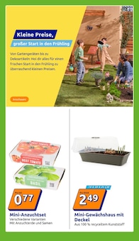 Blumentopf im Action Prospekt "Wochenangebote" mit 31 Seiten (Hildesheim)