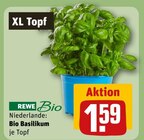 Bio Basilikum Angebote von REWE Bio bei REWE Hückelhoven für 1,59 €