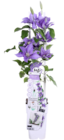 OBI - Waldreben am Spalier (Clematis) Angebot im Prospekt Waldreben am Spalier (Clematis) bei OBI im Prospekt für 12,99 €