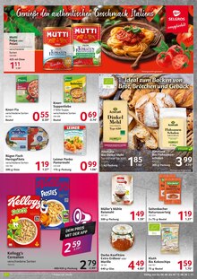 Tomaten im Selgros Prospekt "HIER KAUFEN PROFIS & GENIESSER" mit 28 Seiten (Braunschweig)