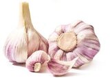 Rural Master Cugnaux - Promo Plants d'ail violet Germidour Promo Plants d'ail violet Germidour à 5,90 € dans le catalogue Rural Master à Cugnaux