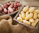 Pomme de terre de consommation à chair ferme - INTERMARCHÉ TERROIRS - Intermarché Super à Bergerac Pomme de terre de consommation à chair ferme - INTERMARCHÉ TERROIRS en promo chez Intermarché Super Bergerac à 2,29 €