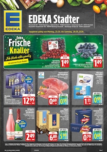 EDEKA Prospekt Wir lieben Lebensmittel! mit 28 Seiten