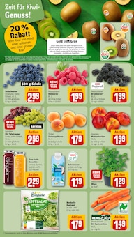 Pflanzen im aktuellen REWE Prospekt (Freiburg (Breisgau)) Pflanzen im REWE Prospekt "Dein Markt" mit 33 Seiten (Freiburg (Breisgau))