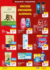 Sonnenblumenkerne im Netto Marken-Discount Prospekt in Erkelenz Aktueller Netto Marken-Discount Prospekt mit Sonnenblumenkerne, "Aktuelle Angebote", Seite 33