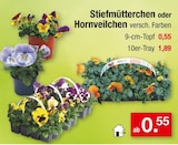 Stiefmütterchen oder Hornveilchen Angebote bei Zimmermann Garbsen für 0,55 €