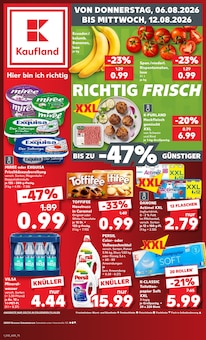 Waschmittel im aktuellen Kaufland Prospekt (Bremen) Waschmittel im Kaufland Prospekt "Hier bin ich richtig" mit 73 Seiten (Bremen)
