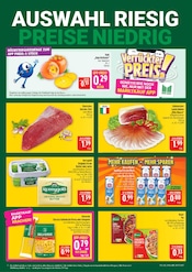 Aktueller Marktkauf Prospekt mit Schinken, "AUSWAHL RIESIG, PREISE NIEDRIG", Seite 2