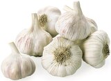 Knoblauch Angebote bei REWE Mönchengladbach für 0,89 €