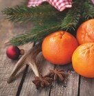 Orangen Angebote von EDEKA Bio bei Marktkauf Cuxhaven für 2,49 €