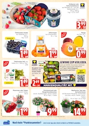 Aktueller Marktkauf Prospekt mit Erdbeeren, "Top Angebote", Seite 4