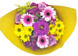 Kaufland Münchberg - Lilien oriental Angebot im Prospekt Lilien oriental bei Kaufland im Münchberg Prospekt für 3,49 €
