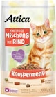 Knuspermenü Angebote von Attica bei Netto Marken-Discount Freiberg für 2,29 €