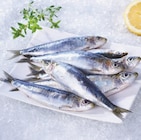 Sardines - Supeco à Boulogne-Billancourt Sardines en promo chez Supeco Boulogne-Billancourt à 4,49 €