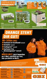 Aktueller OBI Prospekt mit Tomaten, "COOLER STYLE IM NEUEN JAHR MACHBAR MIT OBI.", Seite 10
