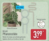 Pflanzenstäbe von BELAVI im aktuellen ALDI Nord Prospekt für 3,99 €