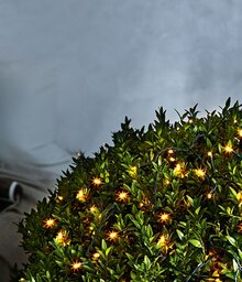 LED-Außenlichterkette/ -schweif mit Batterien bei ALDI SÜD in Böblingen LED-Außenlichterkette/ -schweif mit Batterien im Angebot bei ALDI SÜD Böblingen für 4,99 €