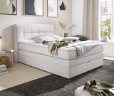 Aktuelles BOXSPRINGBETT Angebot bei porta Möbel in Frankfurt (Main) ab 899,00 €