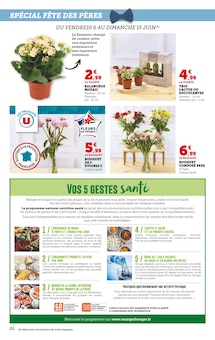 Promotion Plante Verte dans le prospectus Super U, valable du 03/06/2025 au 15/06/2025 Promo Plante Verte dans le catalogue Super U du moment à la page 26