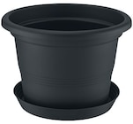 Promo Pot de fleurs avec soucoupe à 4,99 € dans le catalogue Lidl à Troyes