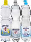 Aktuelle Wasser Angebote bei Netto Marken-Discount in Freiburg (Breisgau) Aktuelles Mineralwasser oder Nearwater Angebot bei Netto Marken-Discount in Freiburg (Breisgau) ab 4,99 €