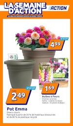 Offre Fleurs dans le catalogue Action du moment à la page 1