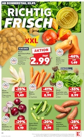 Salat Angebote im Prospekt "Hier bin ich richtig" von Kaufland Salat Angebote im Prospekt "Hier bin ich richtig" von Kaufland auf Seite 31