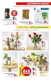 Offre Jardinage dans le catalogue Super U du moment à la page 17