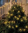 Aktuelles Lichterkette Glänsa Angebot bei Rusta in Essen ab 3,99 €