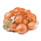 Zwiebeln von GO Regio im aktuellen Netto mit dem Scottie Prospekt