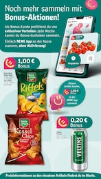 REWE Bier im Prospekt 