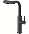 Mitigeur de cuisine noir mat cascade - Esseswith - Castorama à Drancy Mitigeur de cuisine noir mat cascade - Esseswith en promo chez Castorama Drancy à 79,90 €