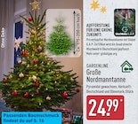 Große Nordmanntanne von Gardenline bei ALDI Nord im Angebot Große Nordmanntanne von Gardenline im aktuellen ALDI Nord Prospekt