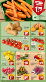 Ähnliche Fertigsalat Angebote im Prospekt "Dein Markt" von REWE Ähnliches Angebot bei REWE in Prospekt "Dein Markt" gefunden auf Seite 5