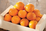 Clementine dans le catalogue Intermarché Super