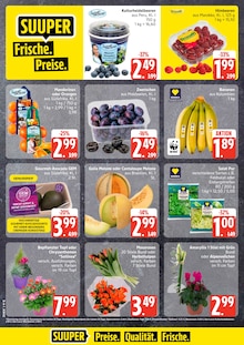 Blumen im aktuellen EDEKA Prospekt (Hamburg) Blumen im EDEKA Prospekt "Top Angebote" mit 31 Seiten (Hamburg)