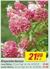Angebot im toom Baumarkt Elsterwerda Prospekt toom Baumarkt Elsterwerda Prospekt mit im Angebot fĂŒr 21,99 âŹ
