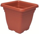 Blumentopf Laurus 40x40x36cm im Angebot bei Wreesmann in Stendal Blumentopf Laurus 40x40x36cm Angebote bei Wreesmann Stendal für 8,99 €