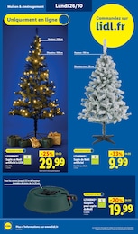 Offre Pied Sapin dans le catalogue Lidl du moment à la page 52