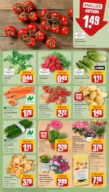 Bio im REWE Prospekt in Speyer Aktueller REWE Prospekt mit Bio, "Dein Markt", Seite 7