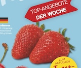 Erdbeeren Angebote bei combi Celle