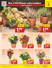 Aktueller Netto Marken-Discount Prospekt mit Blumen, "Aktuelle Angebote", Seite 9