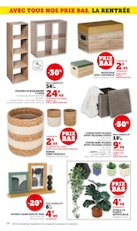 Offre Plante D'intérieur dans le catalogue Super U du moment à la page 14